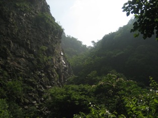 Taihu Yuan